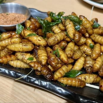 Jun Bistro - True Warrior's Fry Pupae - Chinese Near Me - Milpitas, California