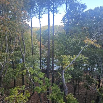 Owl Creek Landing - View from the top - Kids Activities Near Me - Virginia Beach, Virginia