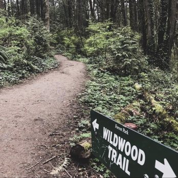Forest Park - Parks Near Me - Portland, Oregon