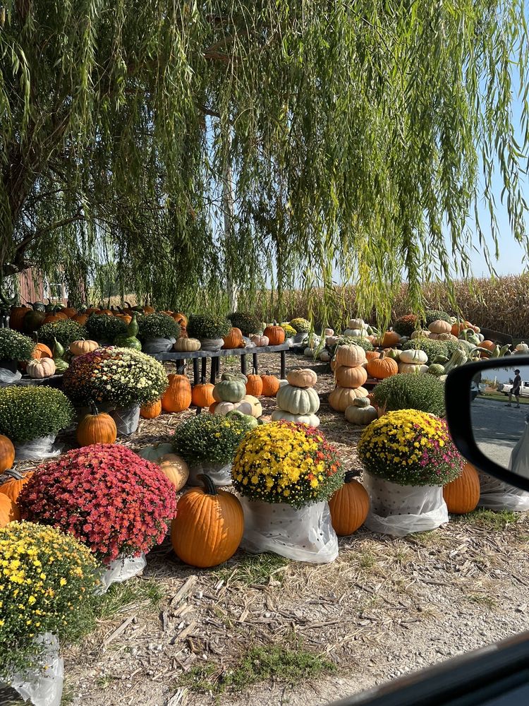 TERRIPIN FARM STAND Updated September 2024 3729 N 36th, Quincy