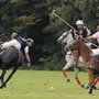 Frankfurter Polo Club
