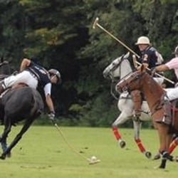 Frankfurter Polo Club