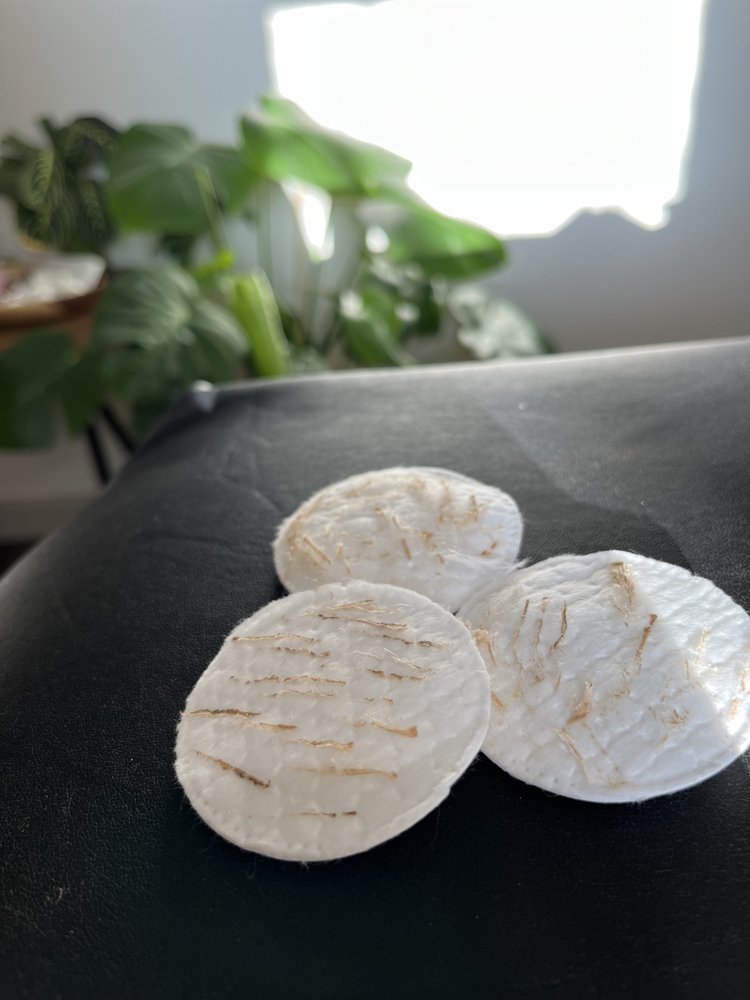 Bush and Brow Wax Studio Logo