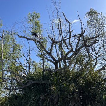 Barnett Park - Parks Near Me - Orlando, Florida Barnett Park - Parks Near Me - Orlando, Florida