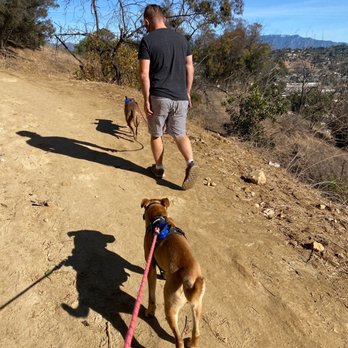 Elysian Park - Parks Near Me - Los Angeles, California