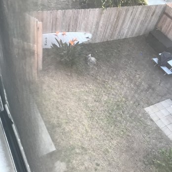 Harcourts Avanti Property Management - The dropoff from where the balcony was removed. - Property Management Near Me - Solana Beach, California Harcourts Avanti Property Management - The dropoff from where the balcony was removed. - Property Management Near Me - Solana Beach, California