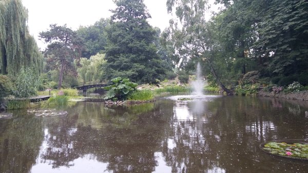 Botanical Garden of the University of Wrocław by null