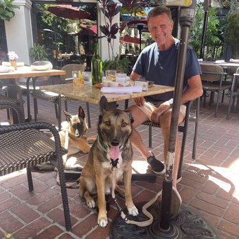 Tin Roof Bistro - Our dogs happy - New American Near Me - Manhattan Beach, California Tin Roof Bistro - Our dogs happy - New American Near Me - Manhattan Beach, California