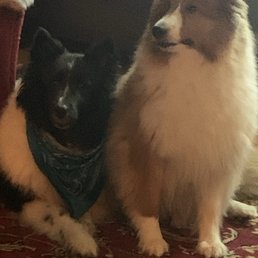 My beautiful boys!!