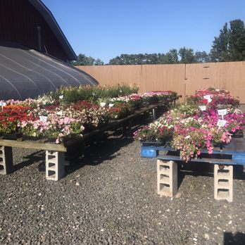Demarest Farm - Farmers Market Near Me - Hillsdale, New Jersey