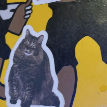 Hideout Saloon - A sticker of a gray tabby cat with green eyes and a fluffy coat is affixed to a surface with a colorful background that includes yellow, black, and brown shapes. The sticker has a white border around the cat image, and the background appears to be part of a decorative or promotional display. - Cocktail Bars Near Me - Mariposa, California