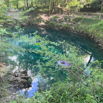 Madison Blue Springs State Park - A little spring watering hole, the water feels great. - Parks Near Me - Lee, Florida Madison Blue Springs State Park - A little spring watering hole, the water feels great. - Parks Near Me - Lee, Florida