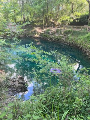 Madison Blue Spring State Park by null