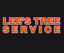 Lee's Tree Service - tree service in Boston, MA