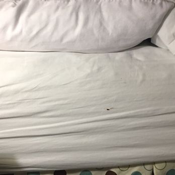 Holiday Inn Norton - Another pic of the bloody bedsheet - Hotels Near Me - Norton, Virginia Holiday Inn Norton - Another pic of the bloody bedsheet - Hotels Near Me - Norton, Virginia