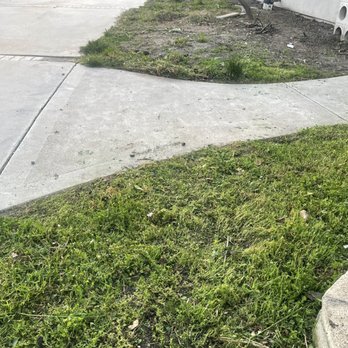 Nicanor Landscape - After - Landscaping Near Me Nicanor Landscape - After - Landscaping Near Me