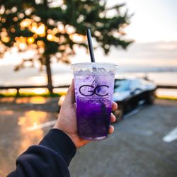 Gravity Coffee