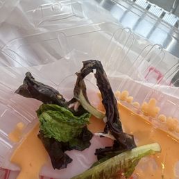 old salad mix causing poke bowl to taste bitter old salad mix causing poke bowl to taste bitter