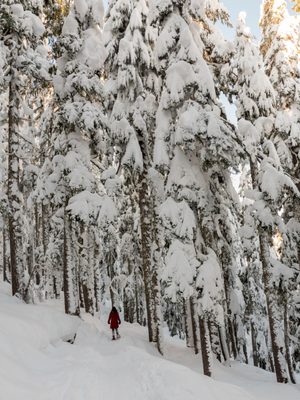 Mount Washington Alpine Resort by null