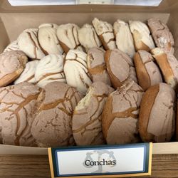 Panapolis - Conchas