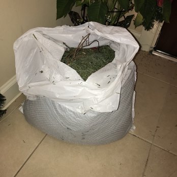 Houston Garden Center - Nurseries & Gardening Near Me - Katy, Texas Houston Garden Center - Nurseries & Gardening Near Me - Katy, Texas