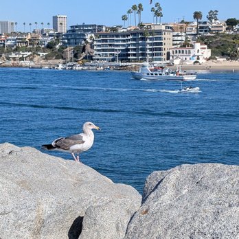The Wedge - Beaches Near Me - Newport Beach, California