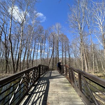 Jackson Washington State Forest - Hiking Near Me - Brownstown, Indiana