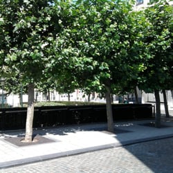 Place de Dinant