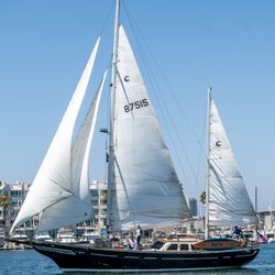 Young Yachting Charters
