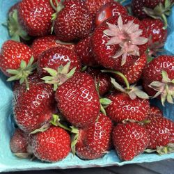 Gro-Moore Farms