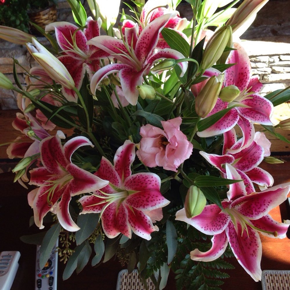 Stargazers Designs - Floral Designers Near Me - Leicester, North Carolina Stargazers Designs - Floral Designers Near Me - Leicester, North Carolina