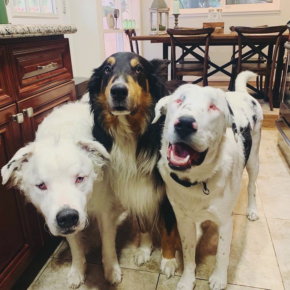 The partial pack