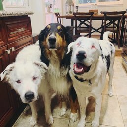 The partial pack The partial pack