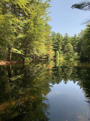 Dow Gardens and the Whiting Forest of Dow Gardens by null