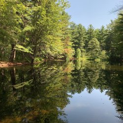 Whiting Forest of Dow Gardens