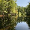 Whiting Forest of Dow Gardens gift card