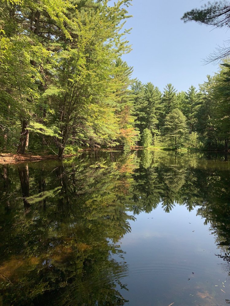 Whiting Forest of Dow Gardens Logo