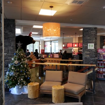 Banff Gondola - Bears in Starbucks - Parks Near Me - Banff, Alberta Banff Gondola - Bears in Starbucks - Parks Near Me - Banff, Alberta