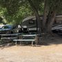 Photo of Quail Valley Recreational Village