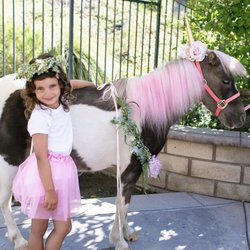 Unicorn Photoshoots