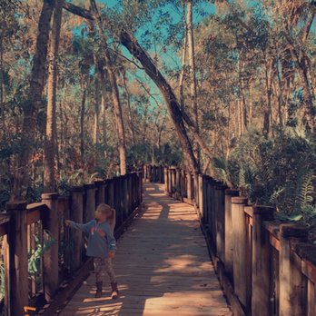James E. Grey Preserve - The wooden bridge/walkway - Parks Near Me - New Port Richey, Florida