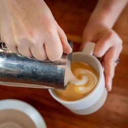 Plata Coffee