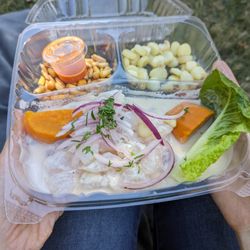 Fish ceviche