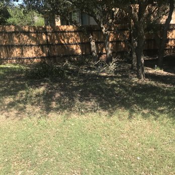 Monarch Tree Service ATX - Not a great before shot, but it's clearly horrible looking - Tree Services Near Me - Austin, Texas Monarch Tree Service ATX - Not a great before shot, but it's clearly horrible looking - Tree Services Near Me - Austin, Texas