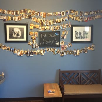 Barker Animal Hospital - Veterinarians Near Me - Chesapeake, Virginia Barker Animal Hospital - Veterinarians Near Me - Chesapeake, Virginia
