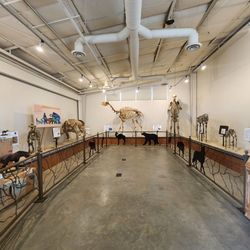 Fossil Discovery Center of Madera County