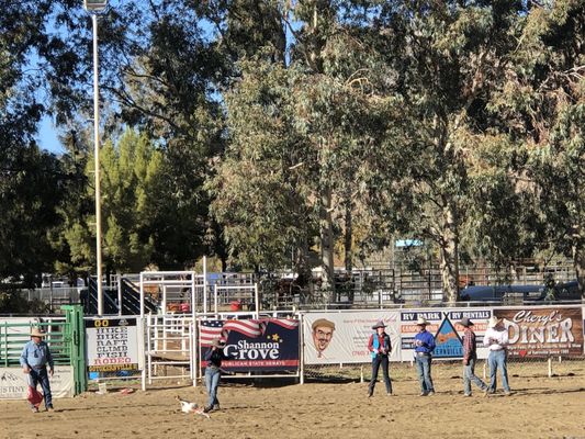 JOHN E MCNALLY ARENA - Updated August 2024 - 13 Photos - 467 Scodie Ave