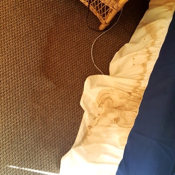 Coldwell Banker Vacations - When i look over the side of the bed and realize that whatever came from the ceiling could have been on my head. - Vacation Rental Agents Near Me - Ocean City, Maryland