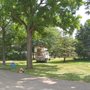 Photo of Family tree tree service