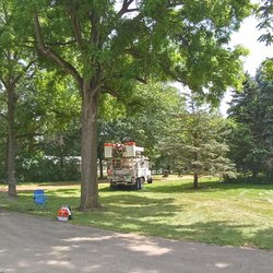 Family tree tree service